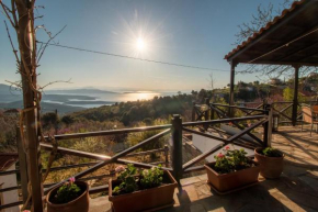 My Pelion Home